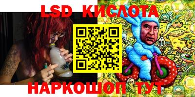 крисы Кунгур