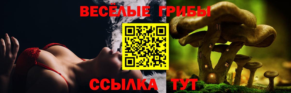 Псилоцибиновые грибы прущие грибы  Вход с VPN  Галлюциногенные грибы ЛСД  Звенигород 